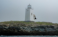 Nash Island Lighthouse in Foggy Down East Maine